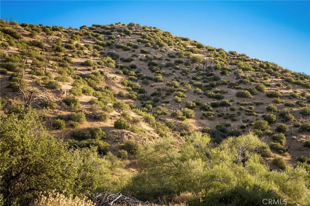 50285 Burns Canyon Pioneertown, CA 92268
