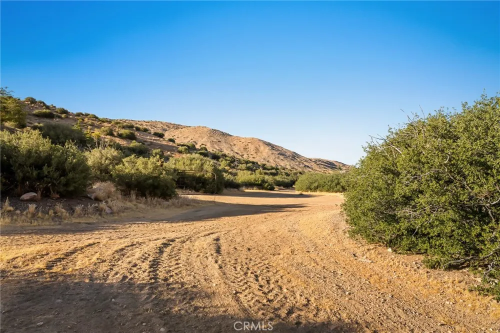 50285 Burns Canyon Pioneertown, CA 92268