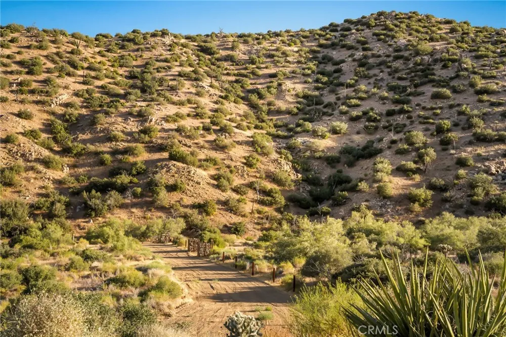 50285 Burns Canyon Pioneertown, CA 92268