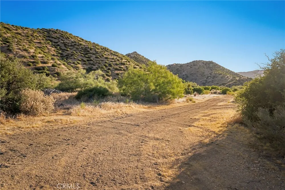 50285 Burns Canyon Pioneertown, CA 92268
