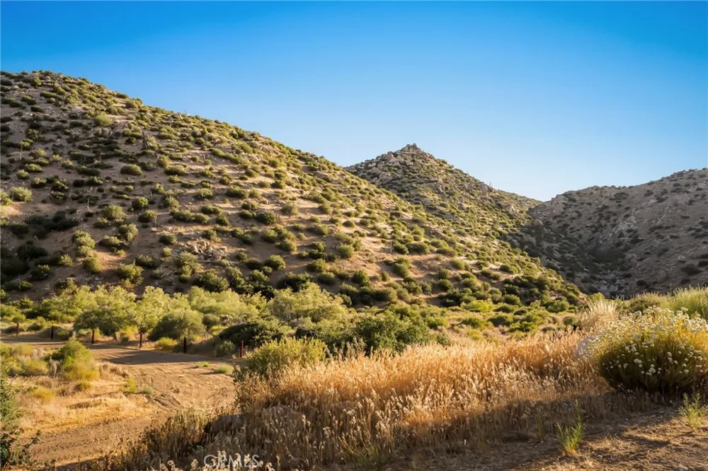 50285 Burns Canyon Pioneertown, CA 92268