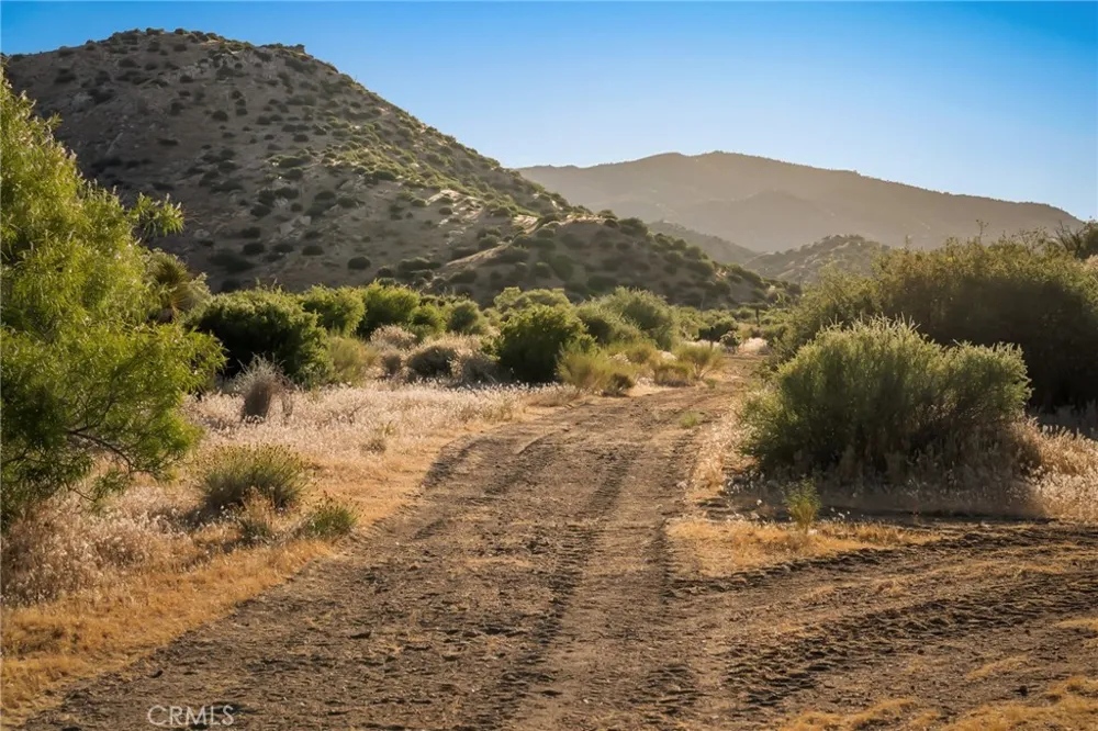 50285 Burns Canyon Pioneertown, CA 92268