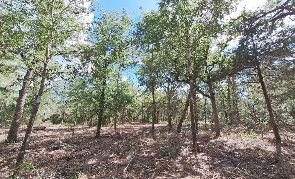 1014 Beaver Lake Drive Caldwell, TX 77836