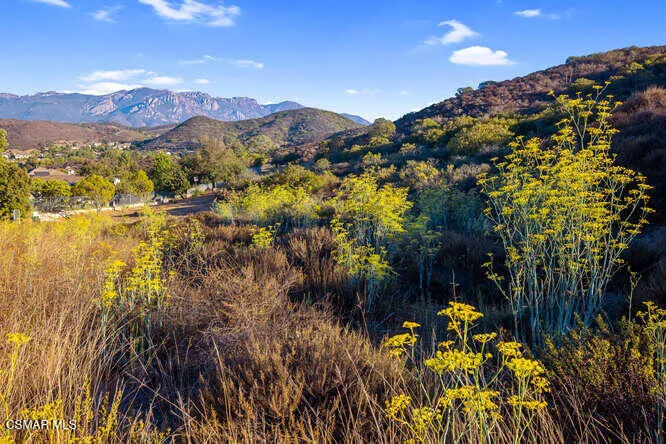 5519 Via Olas Newbury Park, CA 91320