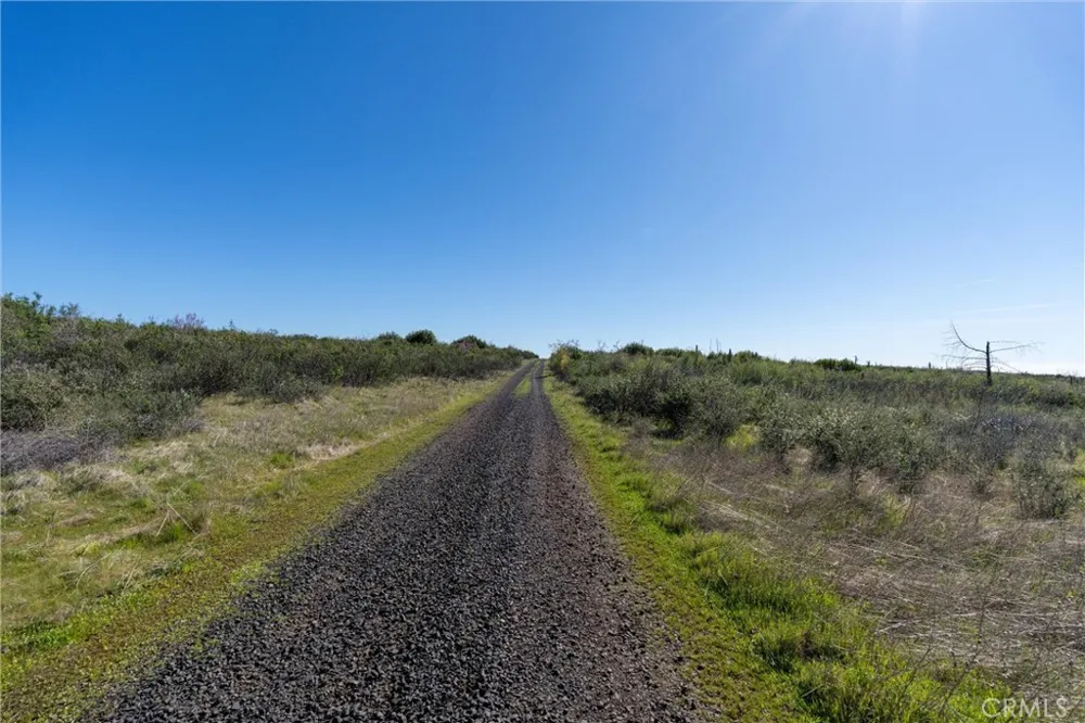 Zinfandel Drive Chico, CA 95928
