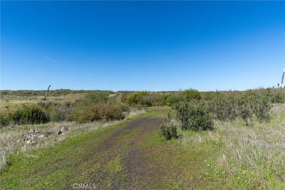Zinfandel Drive Chico, CA 95928