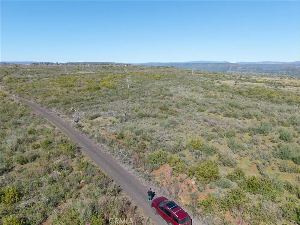 Zinfandel Drive Chico, CA 95928