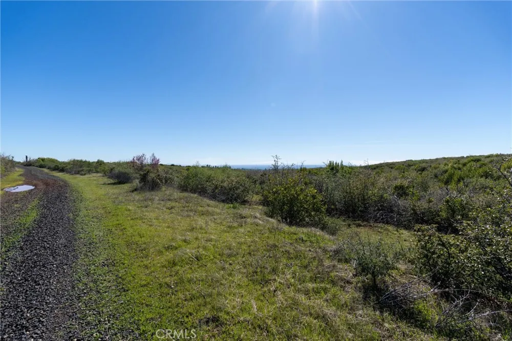 Zinfandel Drive Chico, CA 95928