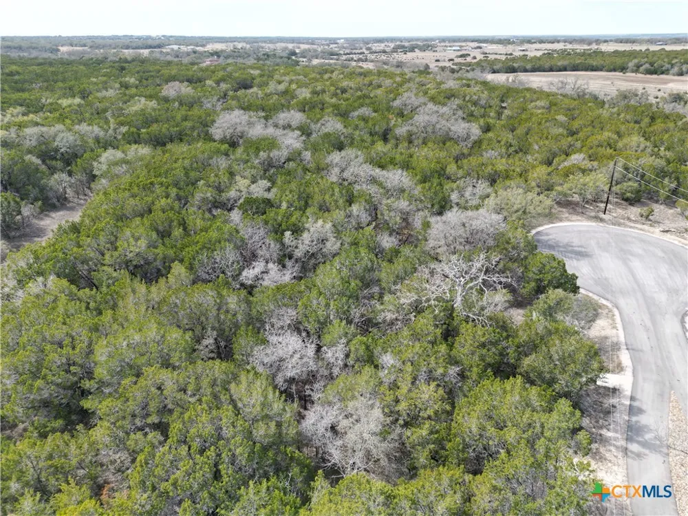 15 Edwards Court Bertram, TX 78605