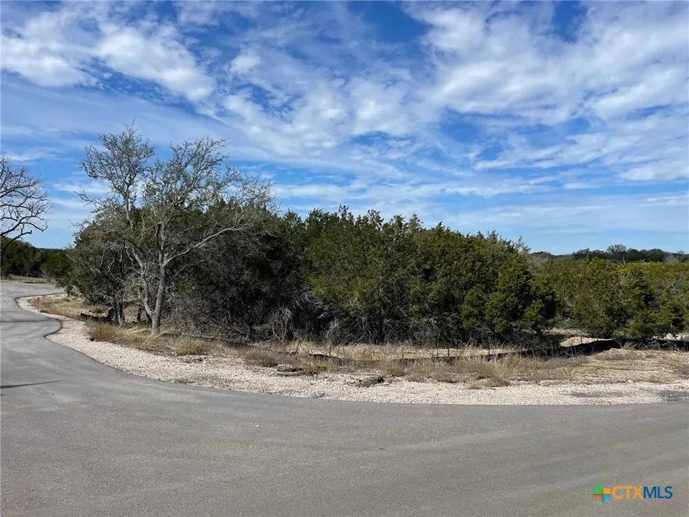 17 Edwards Court Bertram, TX 78605