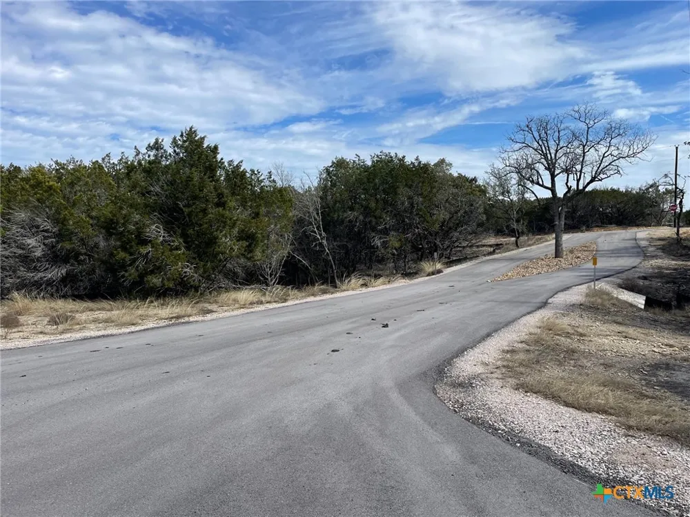 14 Edwards Court Bertram, TX 78605