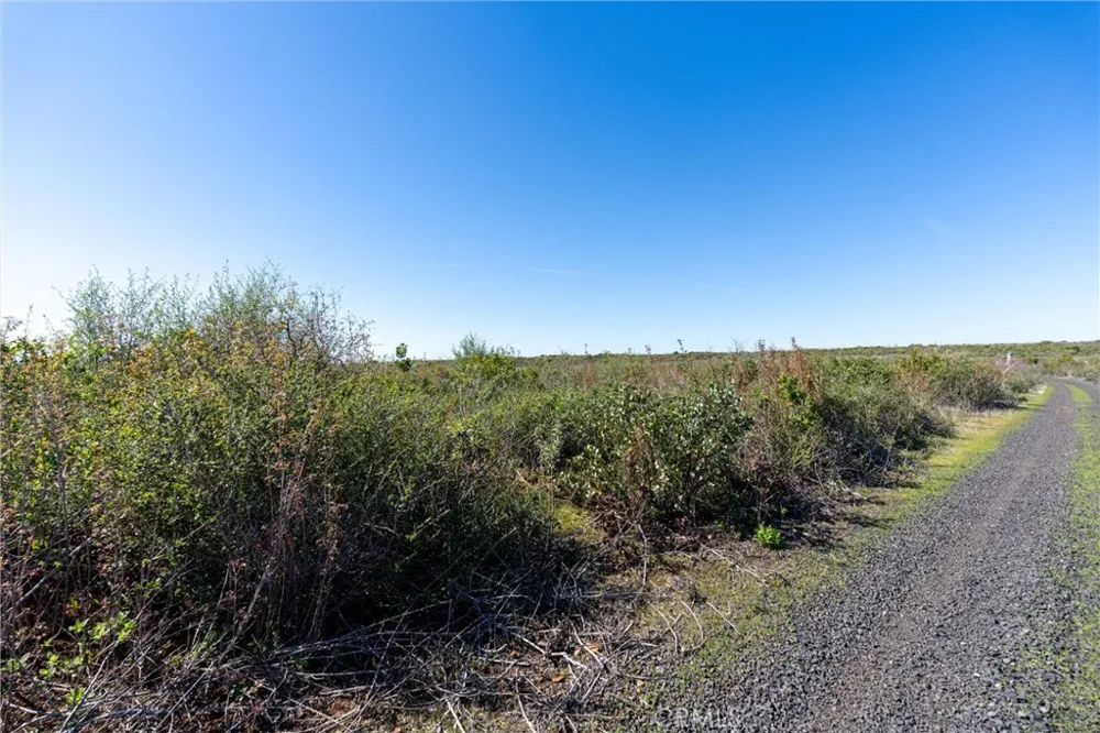 Doe Mill Road Chico, CA 95928