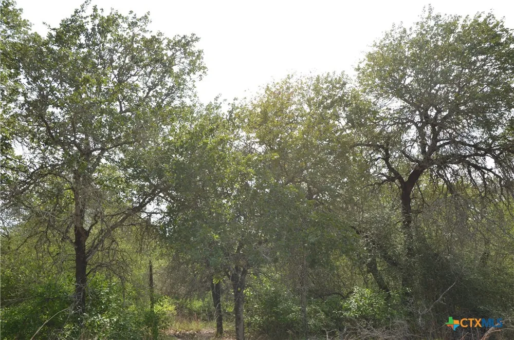 66 Powder Ridge Ridge Luling, TX 78648