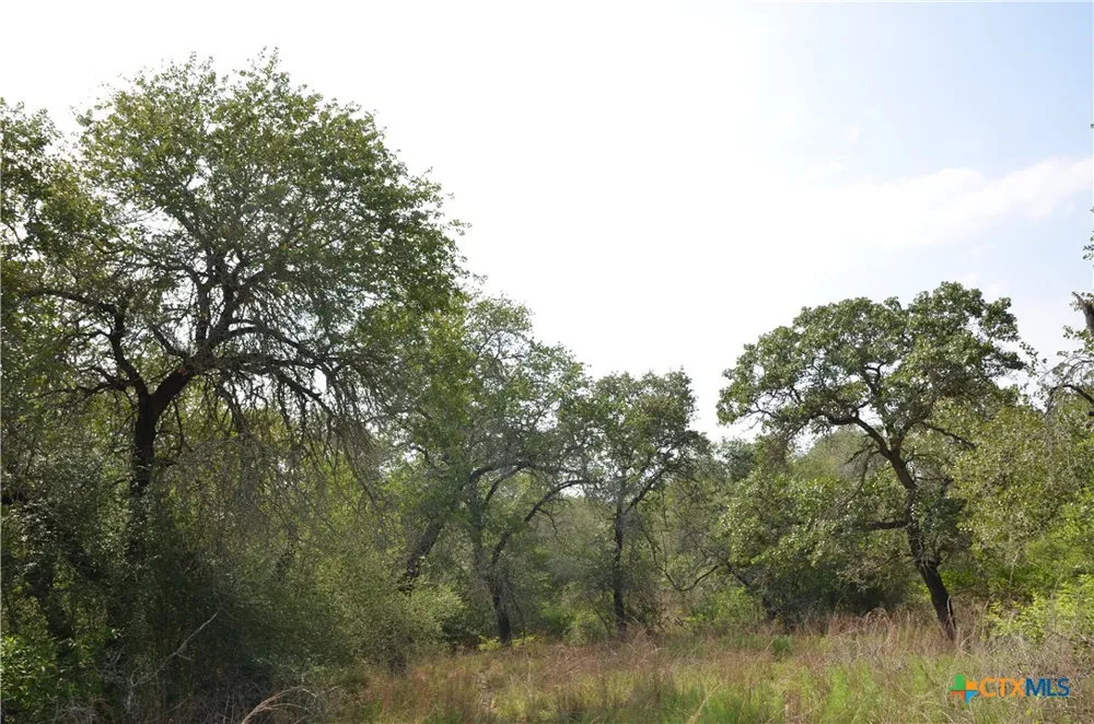 66 Powder Ridge Ridge Luling, TX 78648