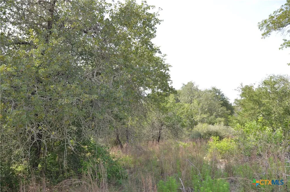 66 Powder Ridge Ridge Luling, TX 78648