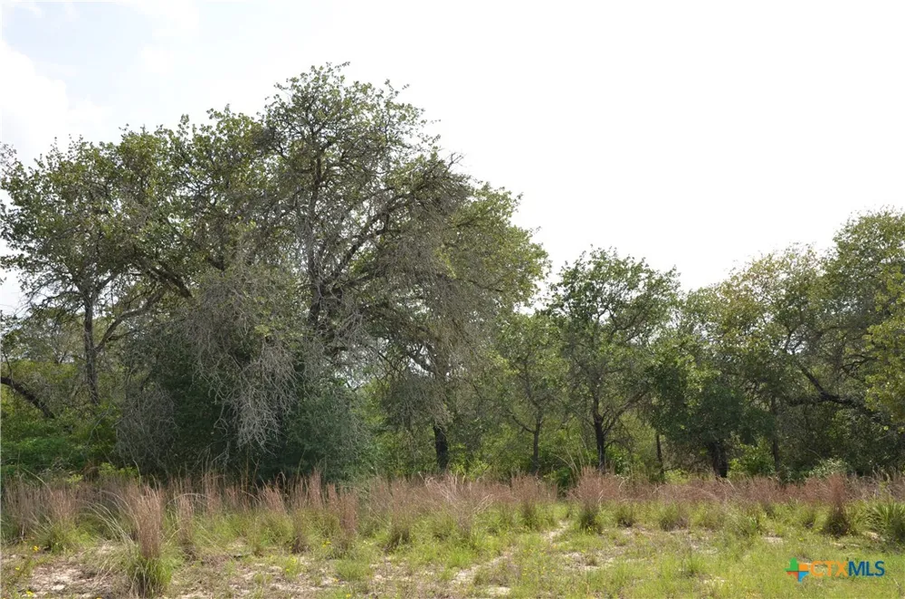 66 Powder Ridge Ridge Luling, TX 78648