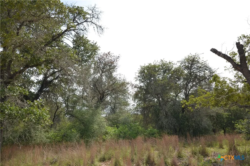 66 Powder Ridge Ridge Luling, TX 78648