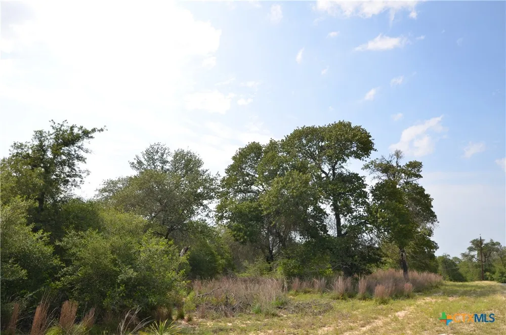 66 Powder Ridge Ridge Luling, TX 78648