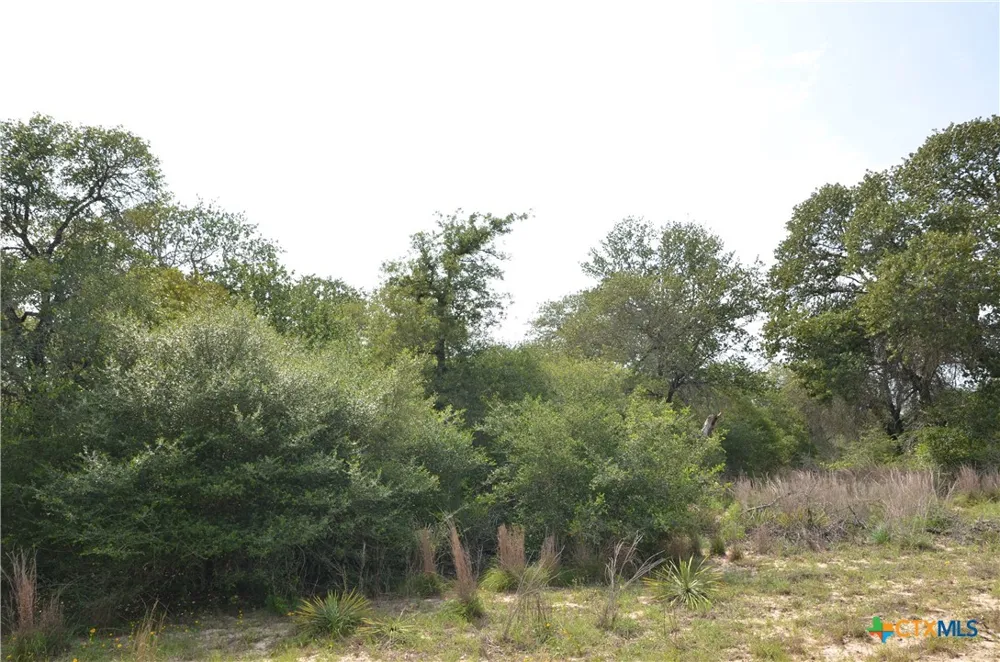 66 Powder Ridge Ridge Luling, TX 78648
