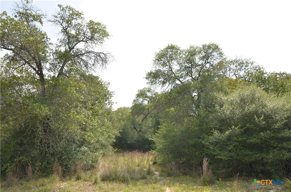 66 Powder Ridge Ridge Luling, TX 78648