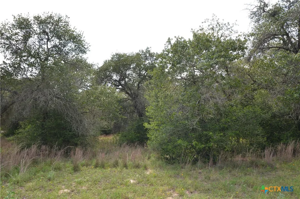 66 Powder Ridge Ridge Luling, TX 78648