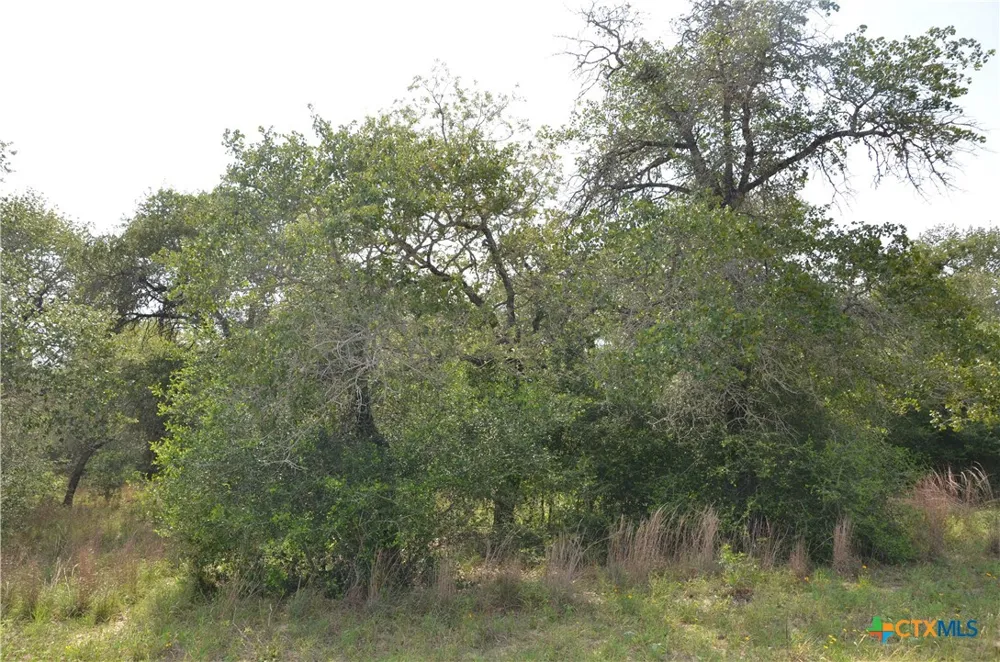 66 Powder Ridge Ridge Luling, TX 78648