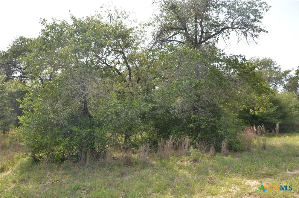 66 Powder Ridge Ridge Luling, TX 78648