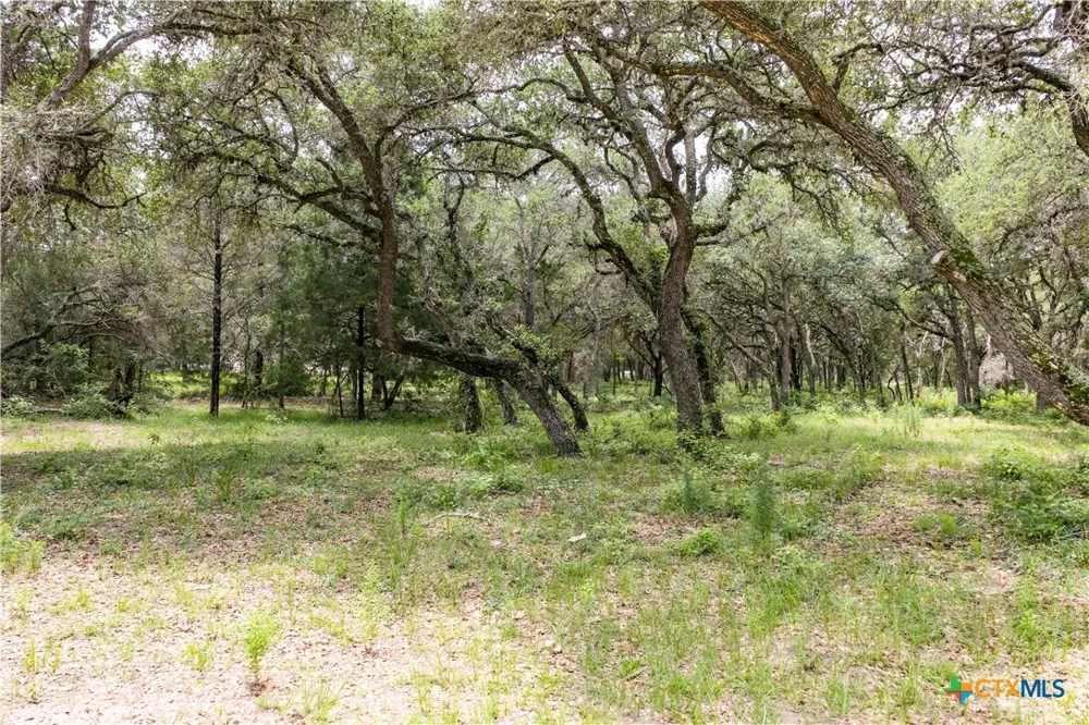 1291 County Road 157 Hallettsville, TX 77964