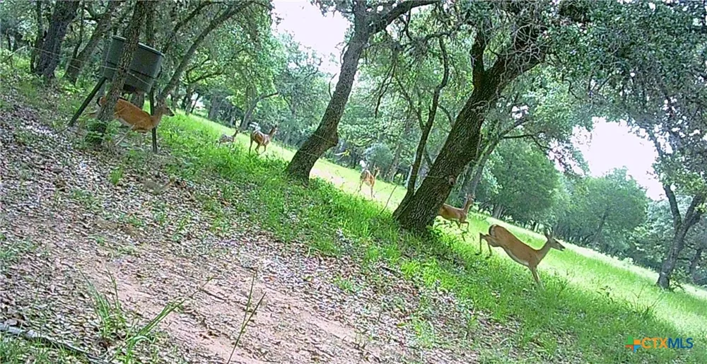 1291 County Road 157 Hallettsville, TX 77964