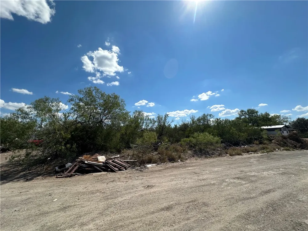 Humble Street Freer, TX 78357