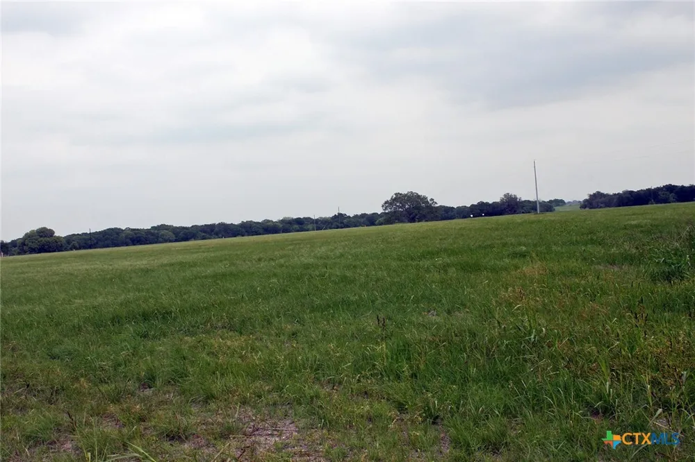 Brushy Branch Road Lockhart, TX 78644