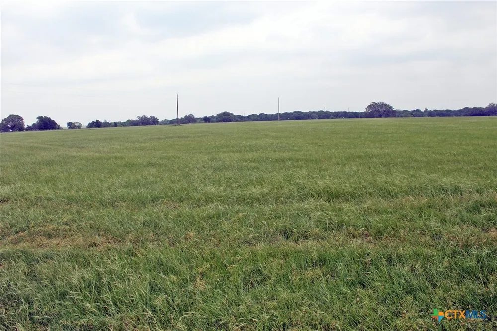 Brushy Branch Road Lockhart, TX 78644