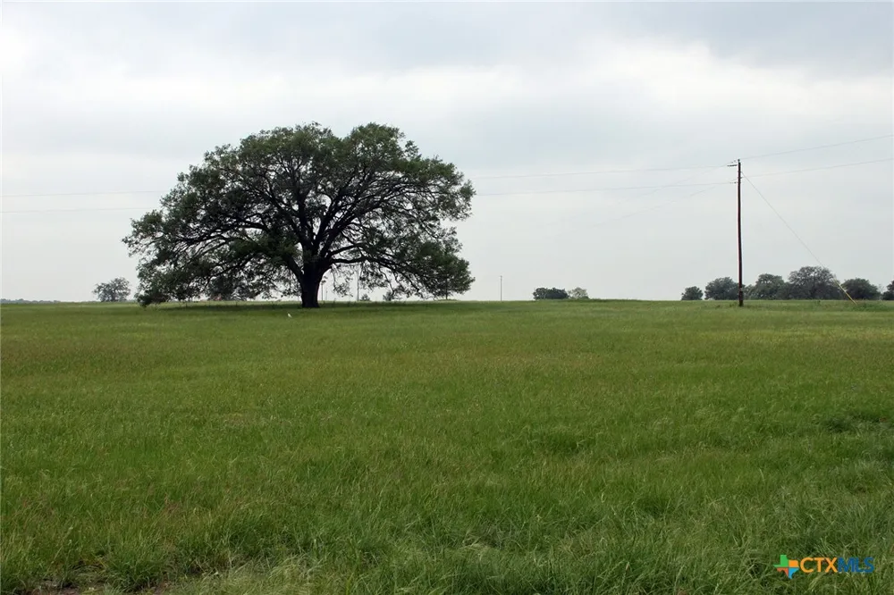 Brushy Branch Road Lockhart, TX 78644