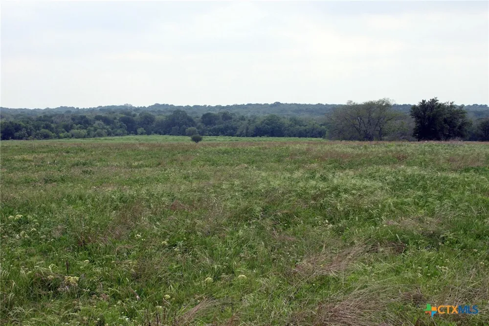 Brushy Branch Road Lockhart, TX 78644