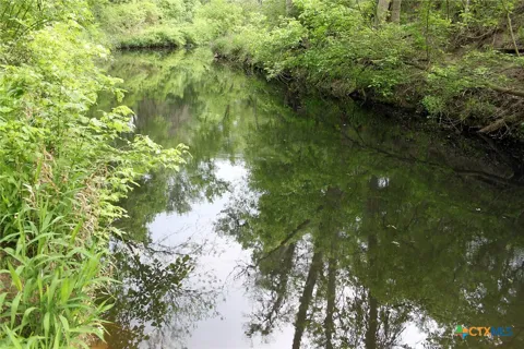 Brushy Branch Road