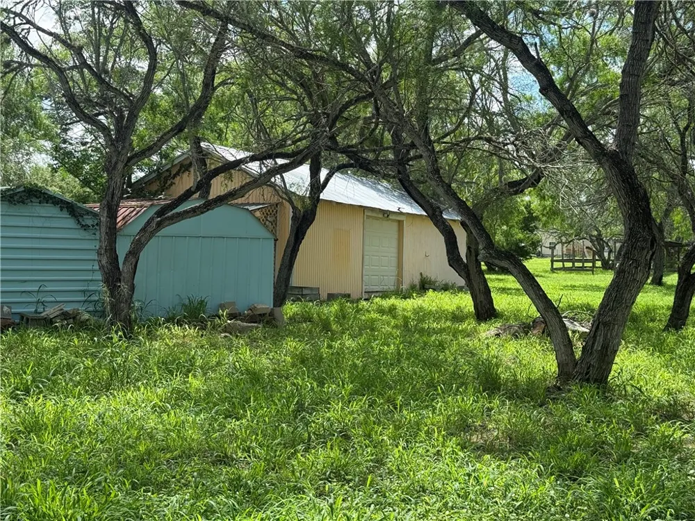 170 Navaho Sandia, TX 78383