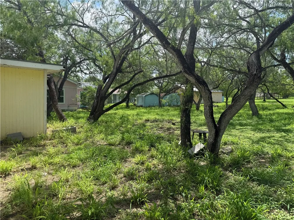 170 Navaho Sandia, TX 78383
