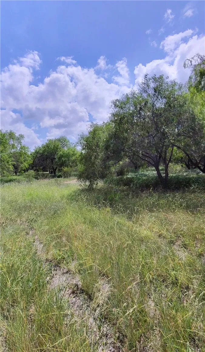 14417 County Road 1478 Odem, TX 78370