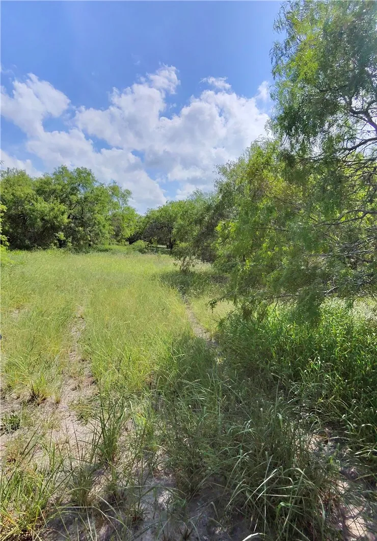 14417 County Road 1478 Odem, TX 78370