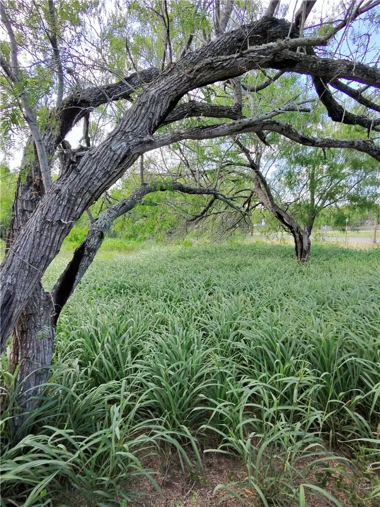 14417 County Road 1478 Odem, TX 78370