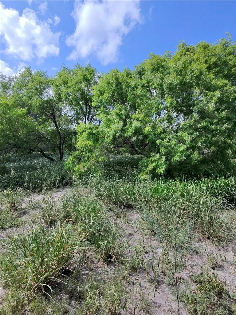 14417 County Road 1478 Odem, TX 78370