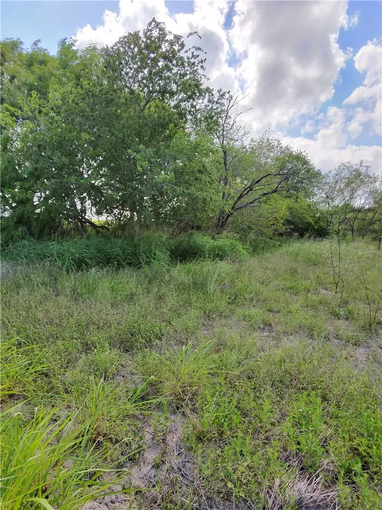 14417 County Road 1478 Odem, TX 78370