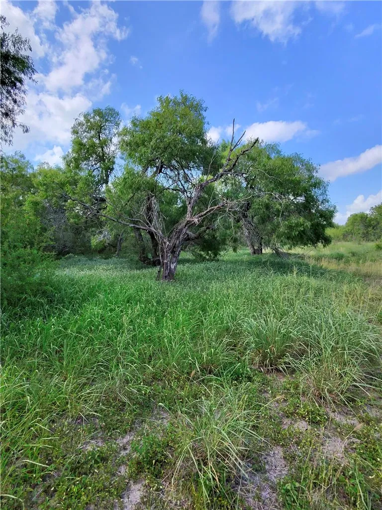 14417 County Road 1478 Odem, TX 78370