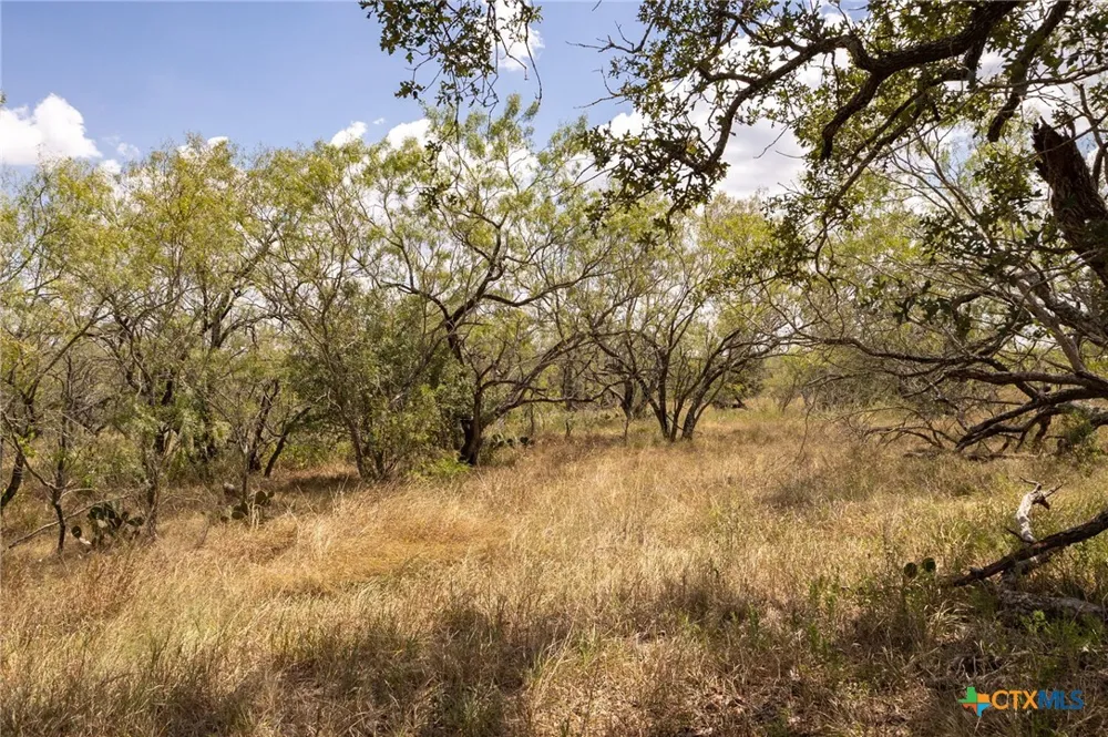 211 Halm Road Seguin, TX 78155