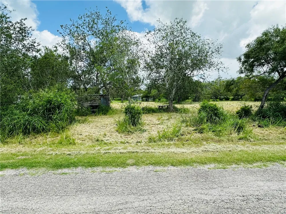 County Road 623 & 624 Skidmore, TX 78389