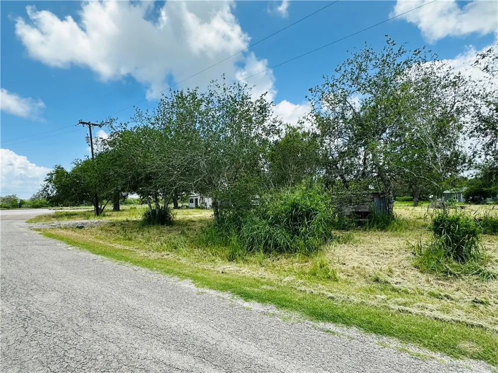 County Road 623 & 624 Skidmore, TX 78389