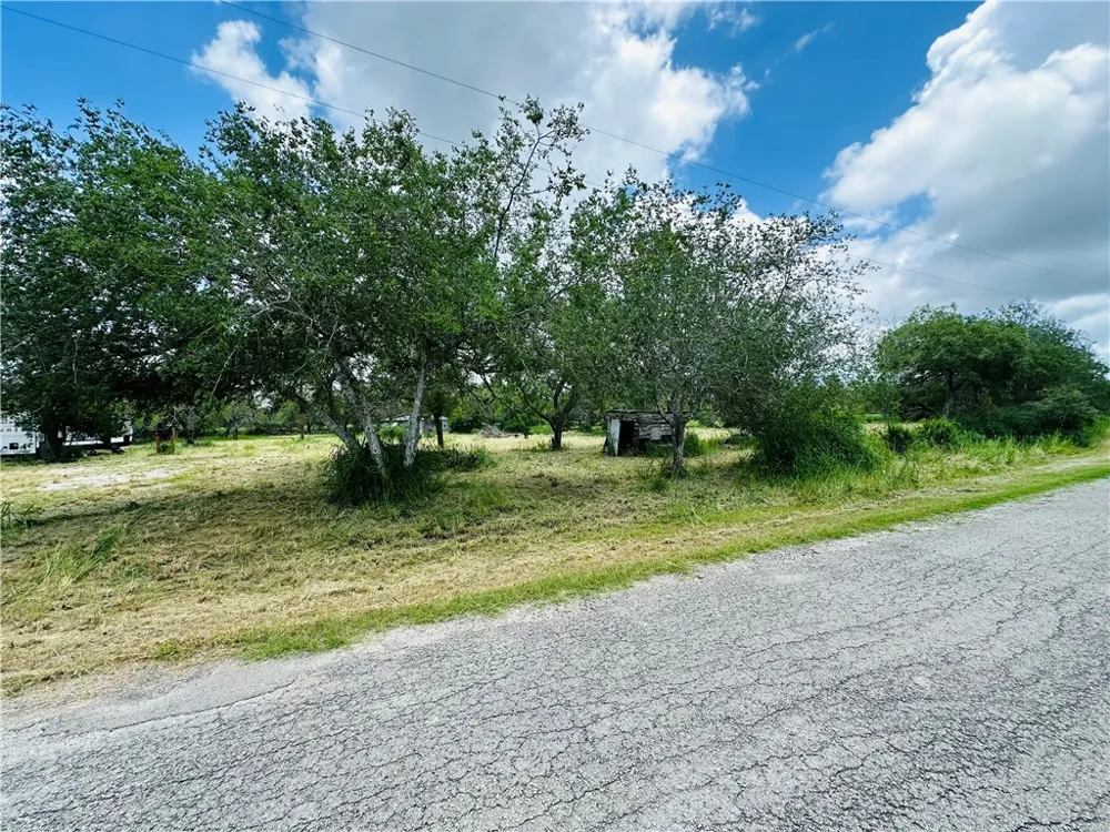 County Road 623 & 624 Skidmore, TX 78389