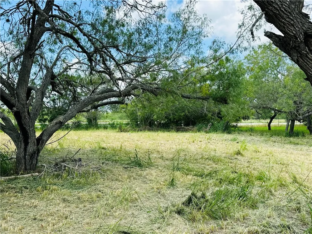 County Road 623 & 624 Skidmore, TX 78389