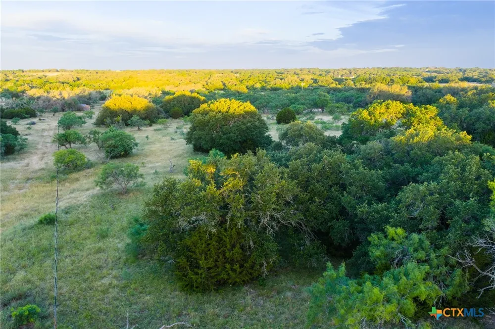 261 W Rolling Oaks Drive Goldthwaite, TX 76844