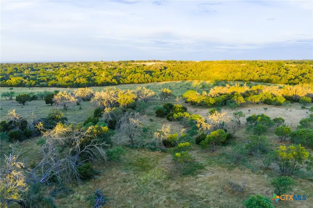 261 W Rolling Oaks Drive Goldthwaite, TX 76844